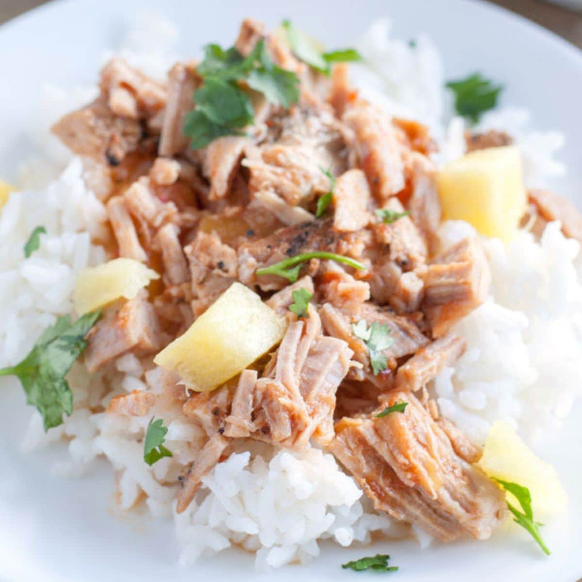 Plate of rice with shredded pork and pineapple bits. 