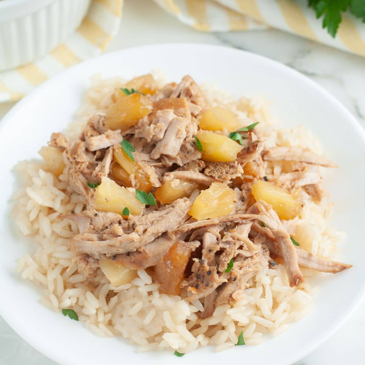 Plate of rice and pineapple shredded pork. 