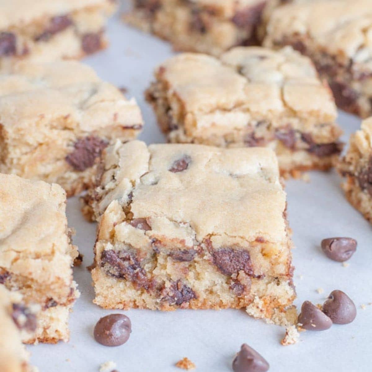 Chocolate chip squares. 