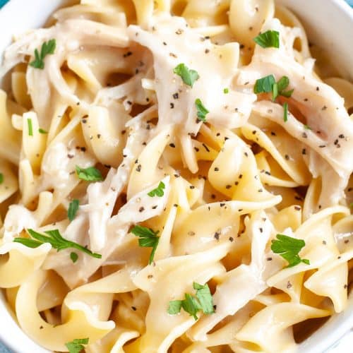 Crockpot Chicken and Noodles - Food Lovin Family