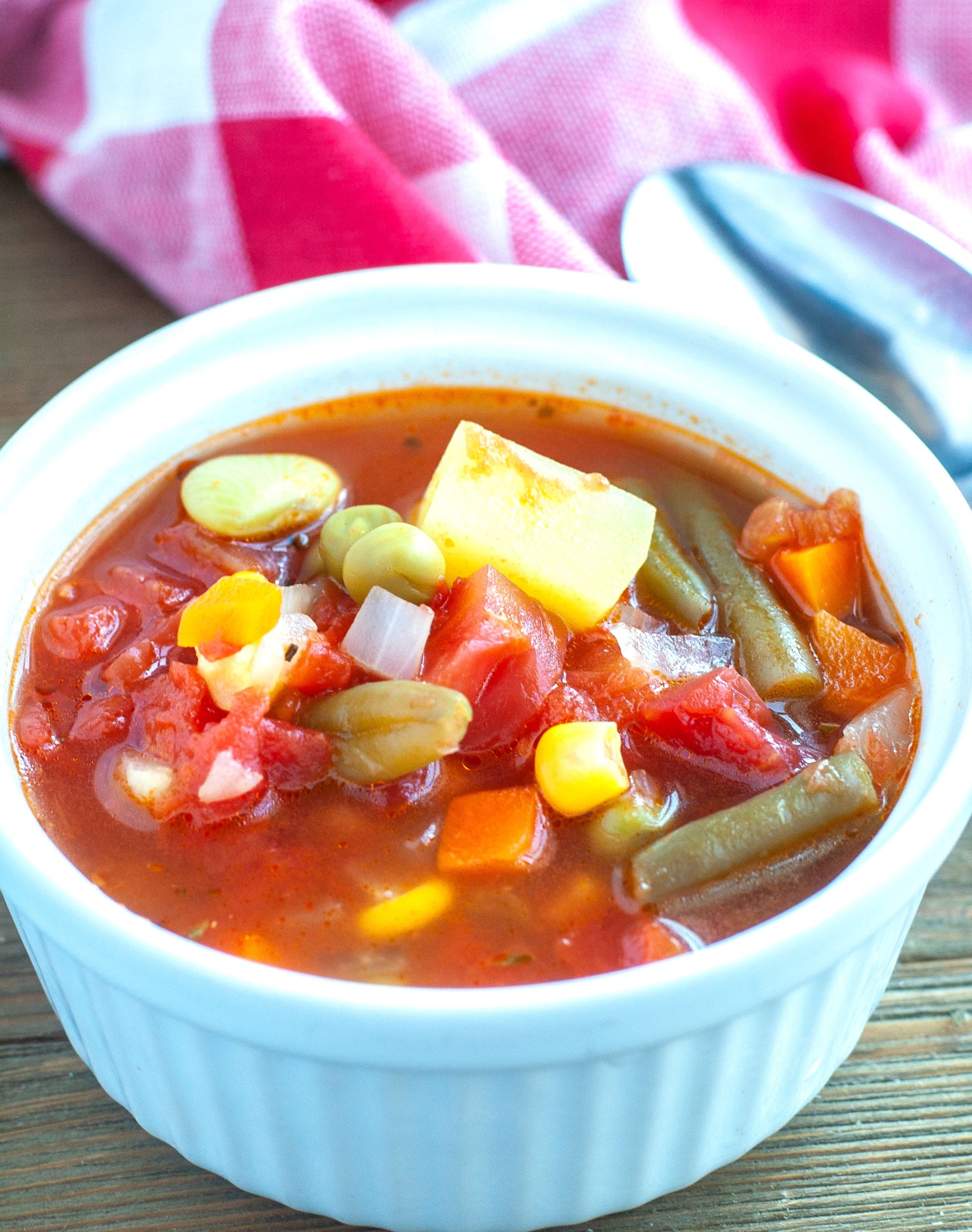 Instant Pot Vegetable Soup - Food Lovin Family