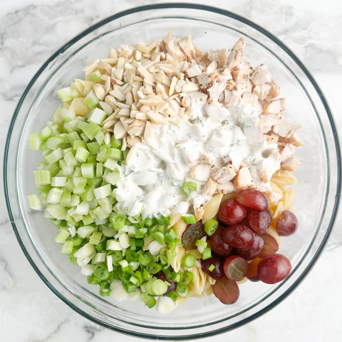 Bowl with pasta, chicken, celery, grapes, and dressing. 