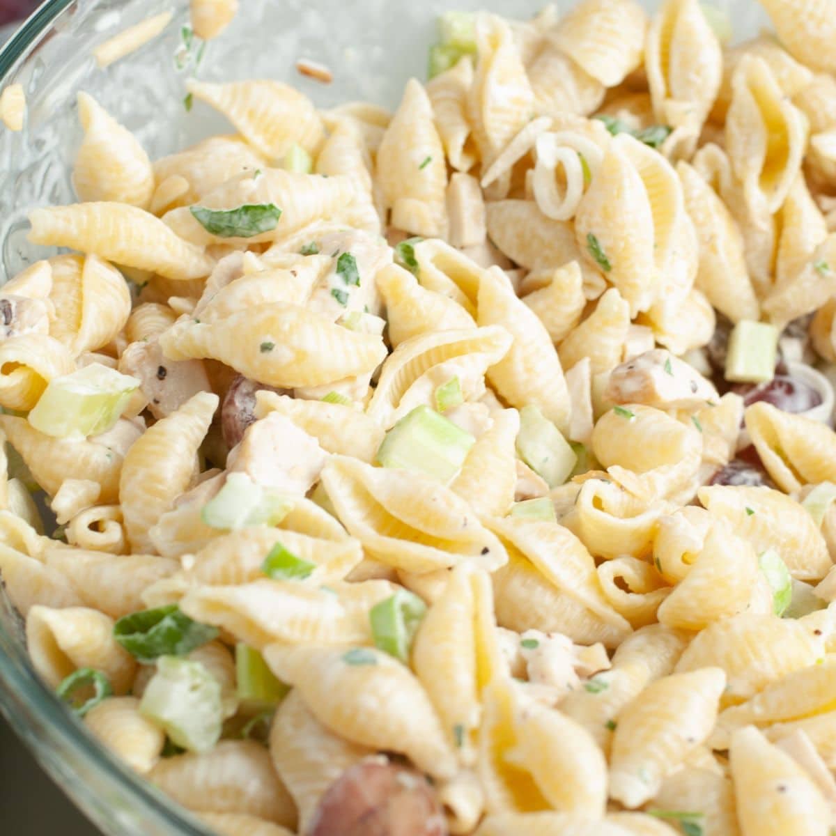 Bowl full of pasta salad with chicken. 