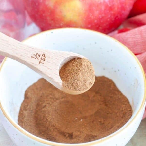 Bowl of apple pie seasonings with a wooden teaspoon.