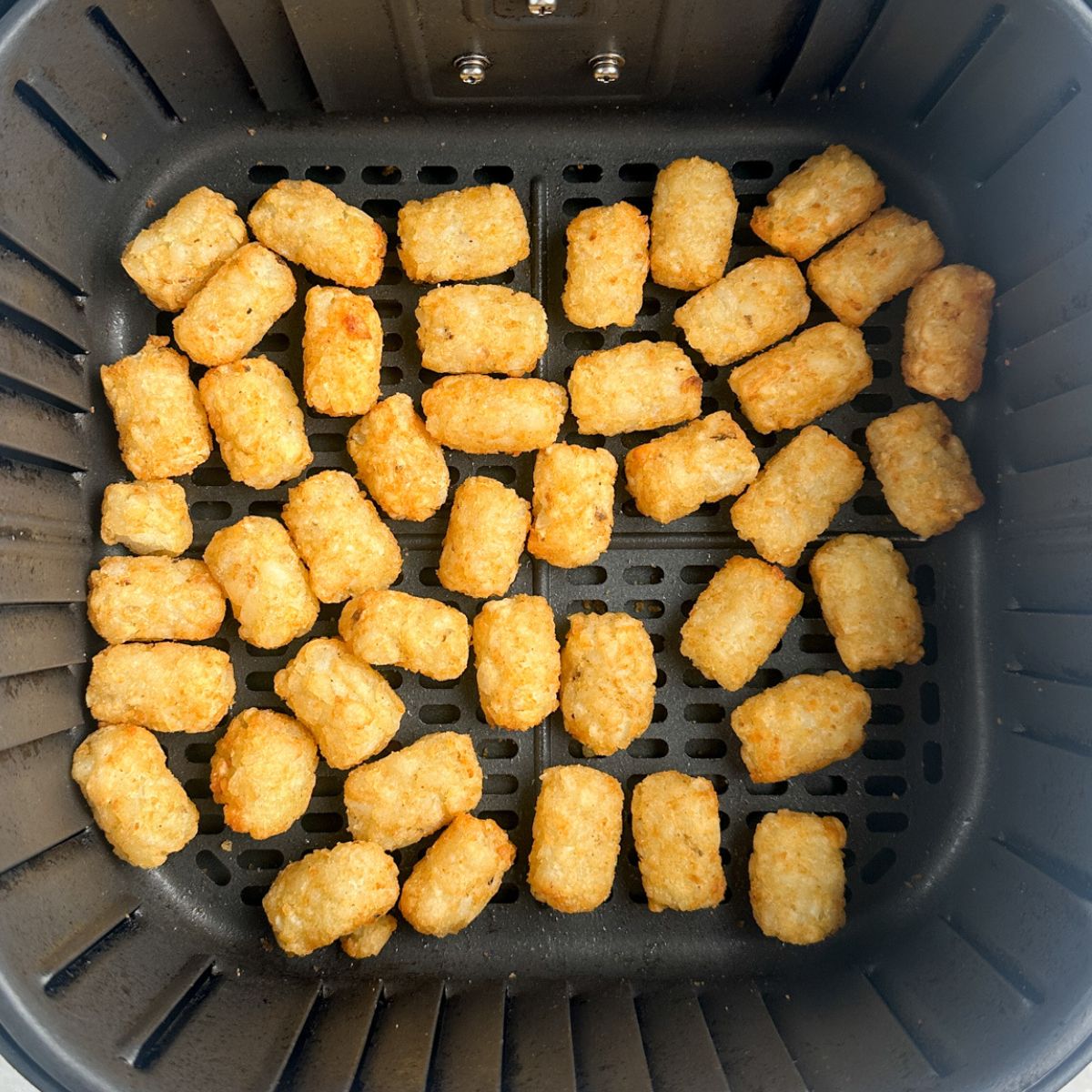 Cooked tater tots in air fryer basket. 