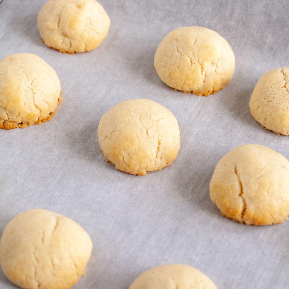 Baked sugar cookies on parchment paper. 