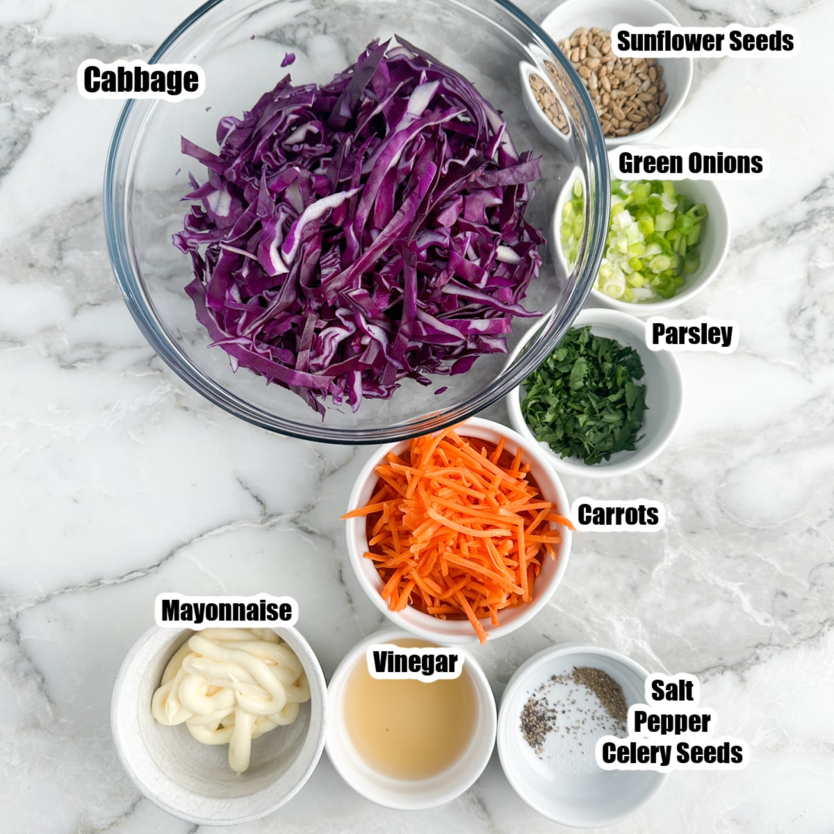 Bowl of shredded red cabbage, carrots, green onion, parsley, sunflower seeds, and mayonnaise. 