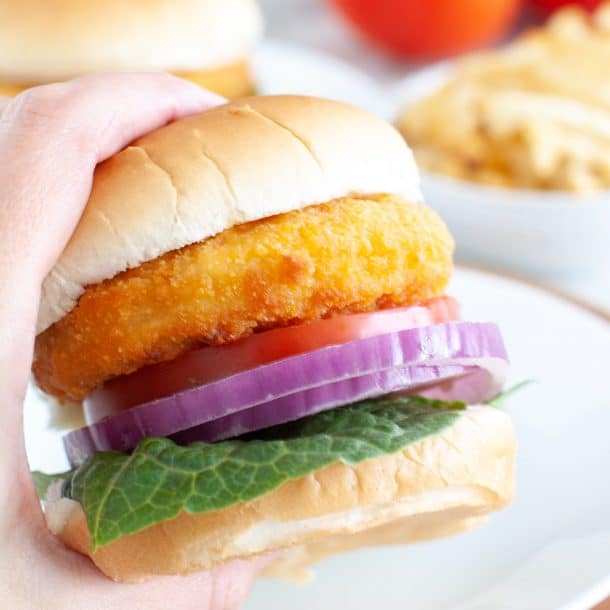 Frozen Chicken Patties In Air Fryer - Food Lovin Family