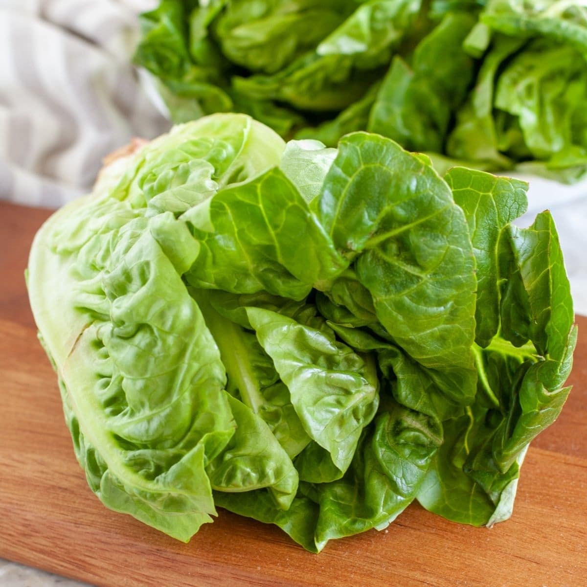 Can You Freeze Lettuce - Food Lovin Family