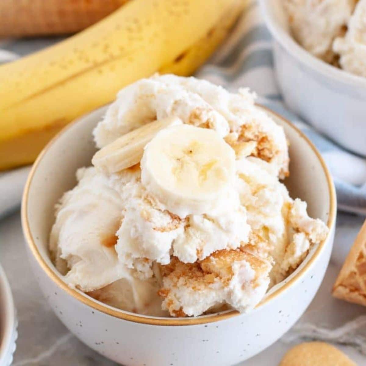 Bowl of banana pudding ice cream. 