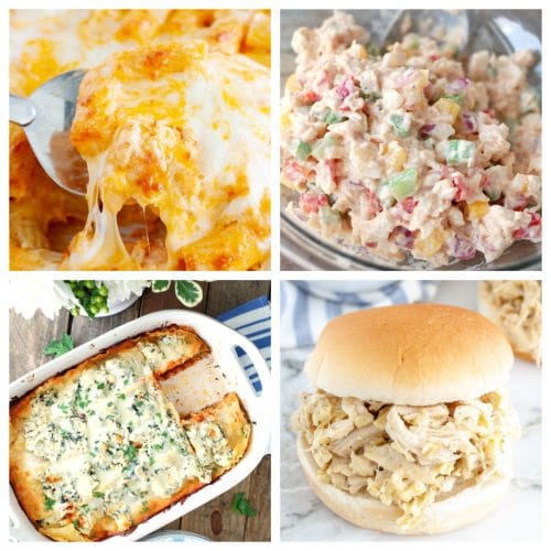 36 Leftover Chicken Recipes - Food Lovin Family