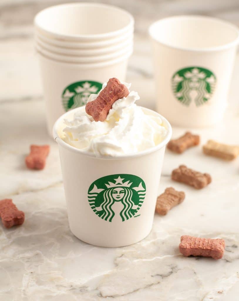 2x Miniature Starbucks Ice Coffee Cups