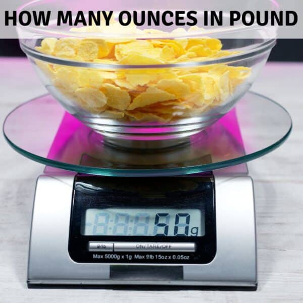 Food scale with bowl of chips.