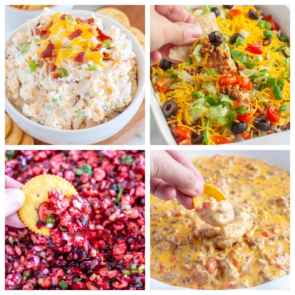 Taco Dip Tray - Your Favorite Party Dip!