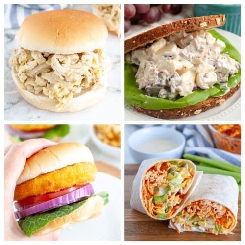 31 Best Chicken Sandwich Recipes - Food Lovin Family