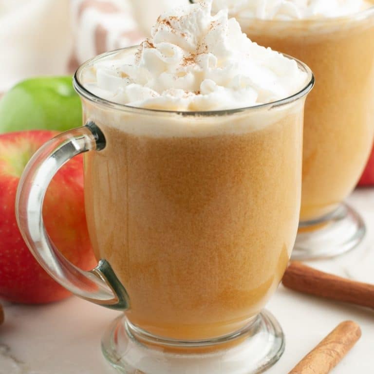 Homemade Caramel Apple Cider - Food Lovin Family