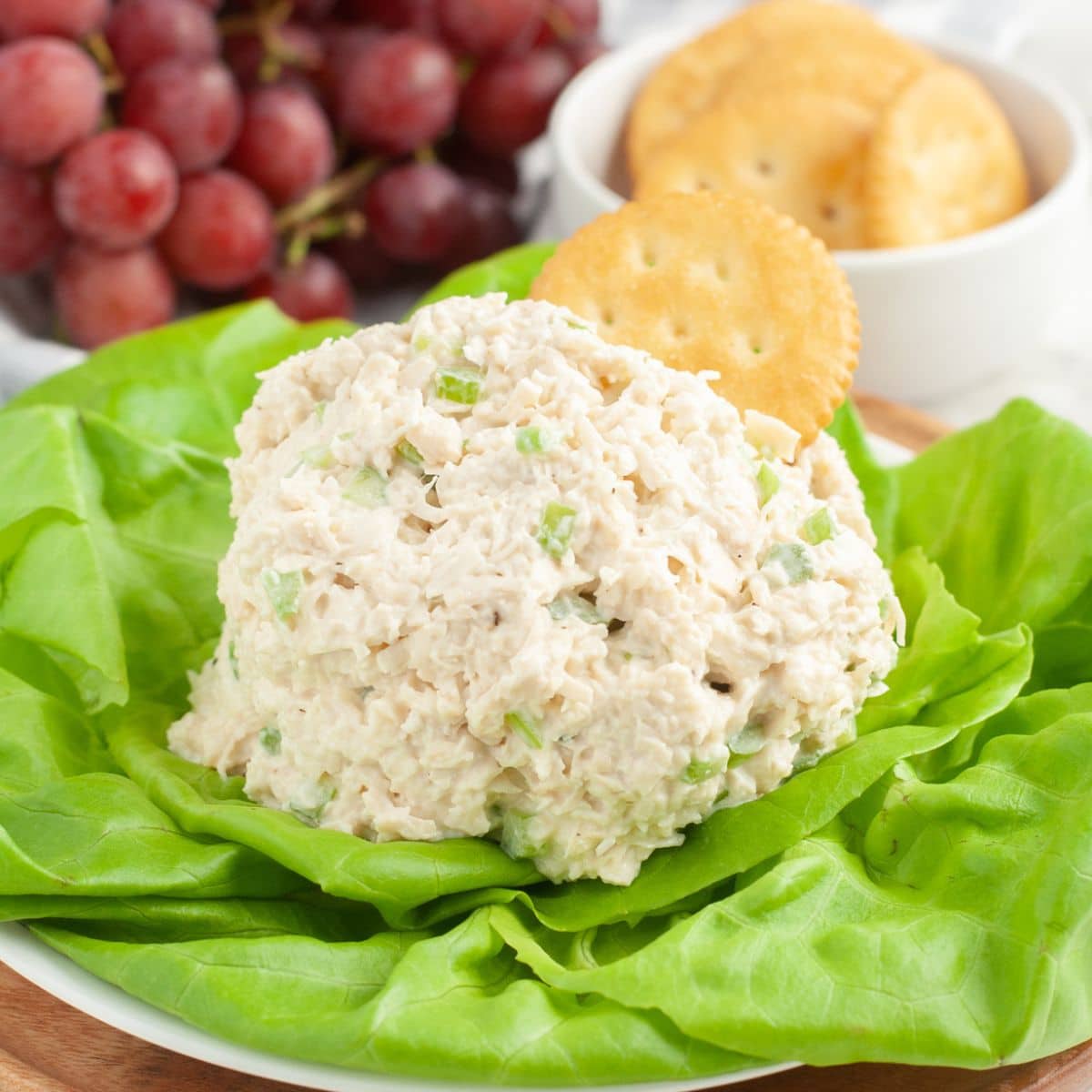 Chicken salad on a bed of lettuce with a cracker. 