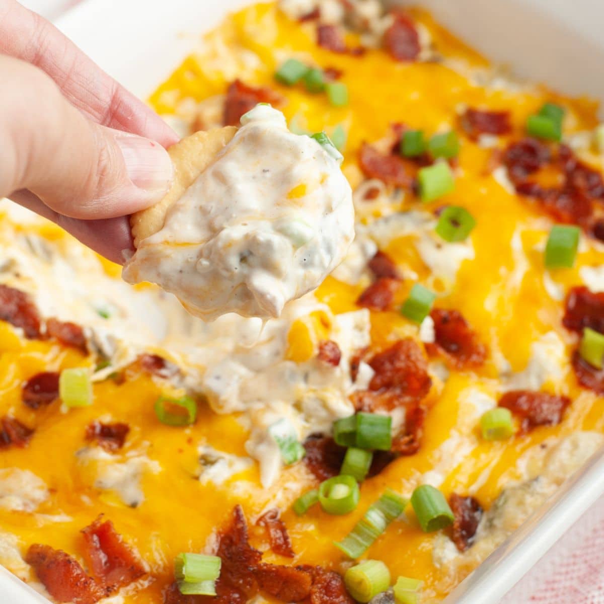 Hand holding cracker with jalapeno popper dip. 