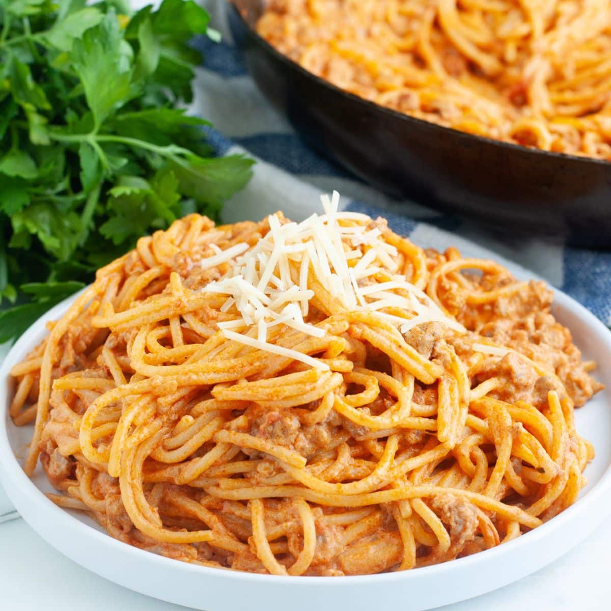 Plate of creamy spaghetti.