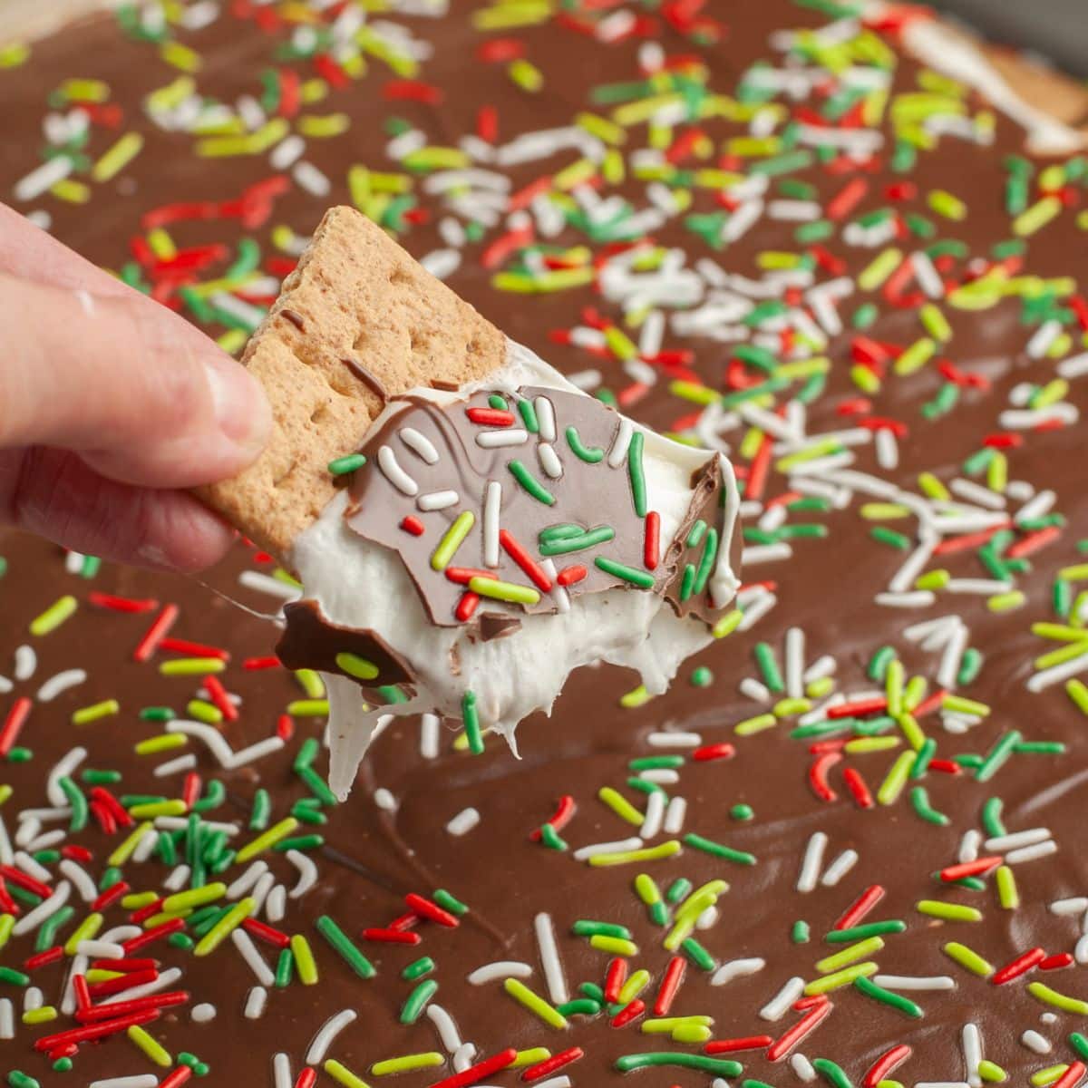 Hand holding a piece of s'mores bark.