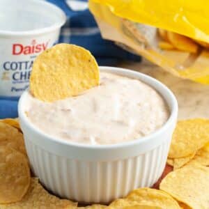 A bowl of cottage cheese queso dip with a tortilla chip.